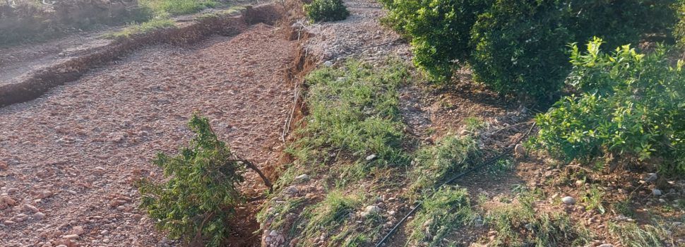 LA UNIÓ de Llauradors demana que s’agilitzen les ajudes als Ajuntaments afectats del Maestrat per a reparar els camins rurals