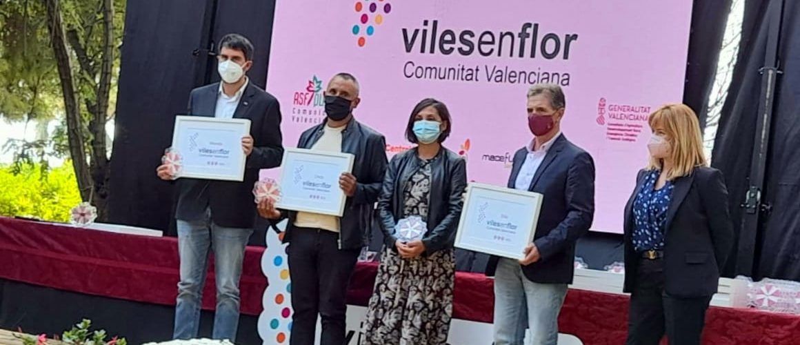 Morella renova les tres flors de Viles en flor