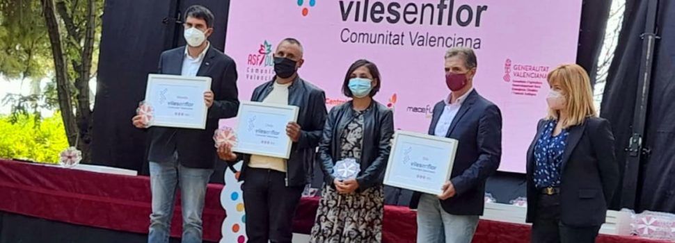 Morella renova les tres flors de Viles en flor
