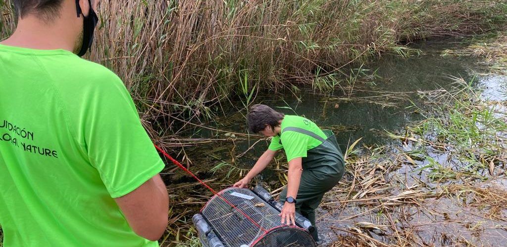 Comienzan las tareas de dragado en la Acequia Sangonera del humedal de Peñíscola