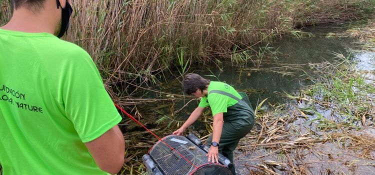 Comienzan las tareas de dragado en la Acequia Sangonera del humedal de Peñíscola
