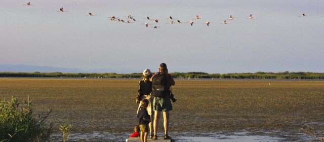 La innovació a les platges de les Terres de l’Ebre reconeguda com una de les cent millors pràctiques de sostenibilitat de destinacions turístiques del món
