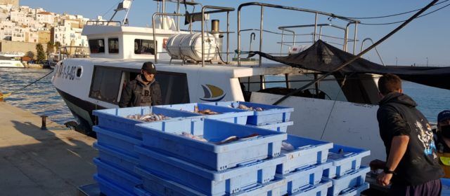 Els vaixells d’arrossegament de Castelló i Peníscola ixen a pescar després 2 dos mesos de veda voluntària