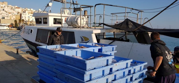 Els vaixells d’arrossegament de Castelló i Peníscola ixen a pescar després 2 dos mesos de veda voluntària