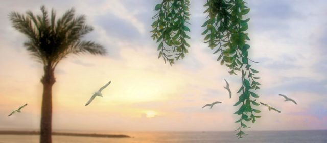 Ben Vist: L’alba a Vinaròs
