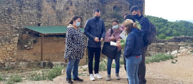 La Diputació de Castelló inicia a Xivert els treballs de protecció de les pintures templeres del castell