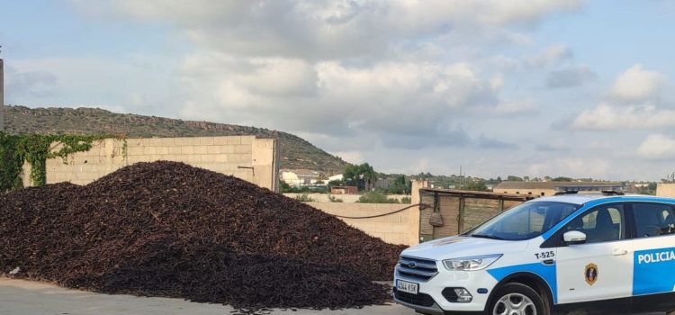La Policía de la Generalitat incrementa los dispositivos de control en almacenes de algarroba y almendra