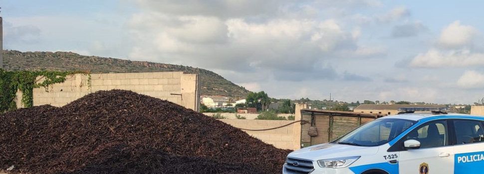 La Policía de la Generalitat incrementa los dispositivos de control en almacenes de algarroba y almendra