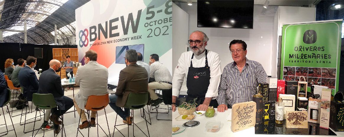 La Taula del Sénia y Olivos Milenarios participan con 2 eventos