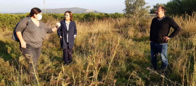 Benicarló adjudica l’excavació arqueològica i l’estudi del jaciment del Mas de Fabra