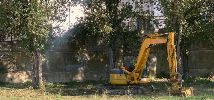 Santa Magdalena esbrossa la rambla d’Alcalá al seu pas pel municipi
