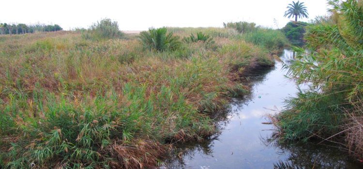 El Ple insta el Govern a recuperar el projecte de canalització de la rambla d’Alcalà