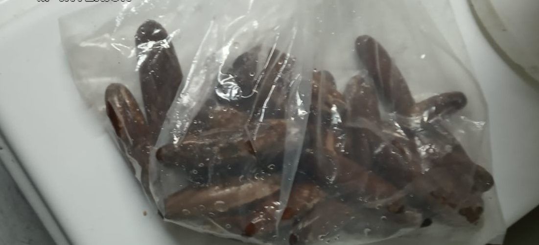 La Guardia Civil investiga al gerente de un comercio de restauración de Alcanar por comercializar marisco prohibido