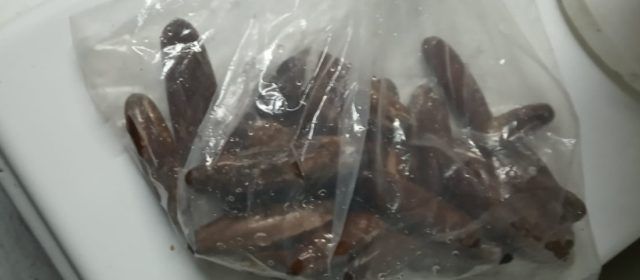La Guardia Civil investiga al gerente de un comercio de restauración de Alcanar por comercializar marisco prohibido