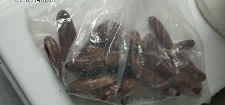 La Guardia Civil investiga al gerente de un comercio de restauración de Alcanar por comercializar marisco prohibido