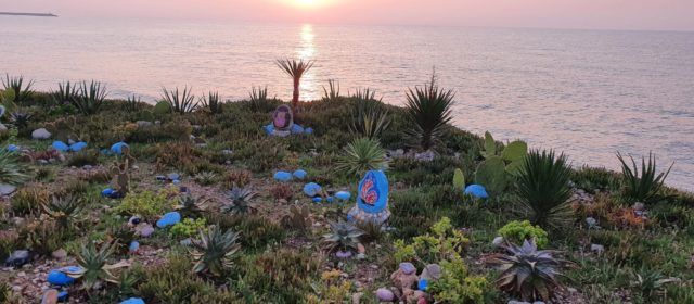 Fotos: Sortida del Sol, al “jardí” de la Cala Puntal de Vinaròs