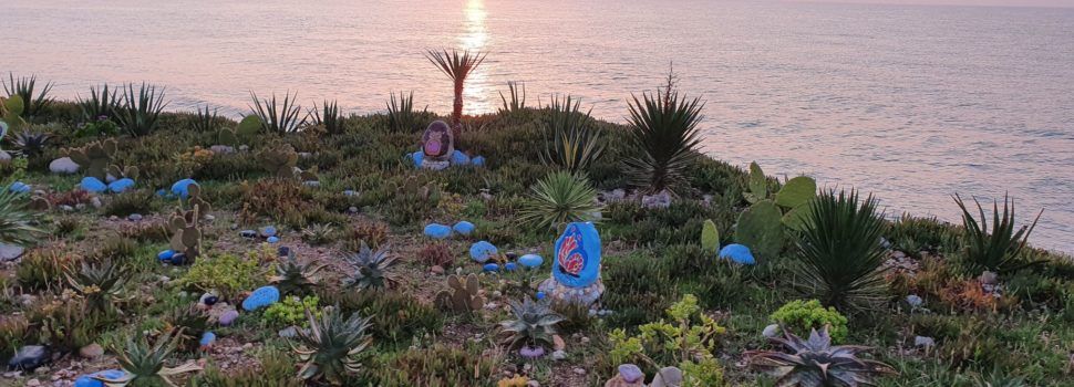 Fotos: Sortida del Sol, al “jardí” de la Cala Puntal de Vinaròs
