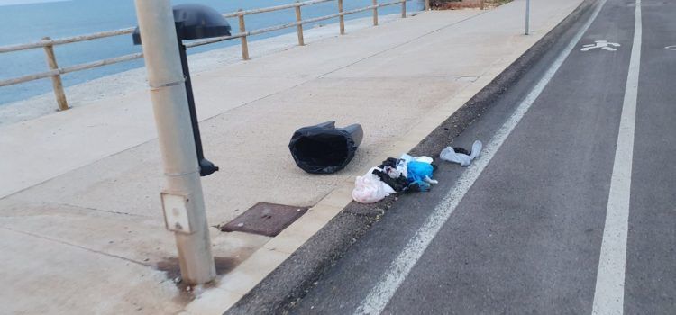 Fotos: vandalisme a la costa sud de Vinaròs