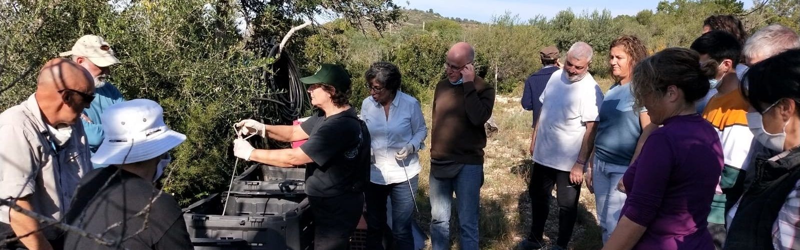 Éxito del curso de Apnal-Ecologistas en Acción sobre elaboración de compost