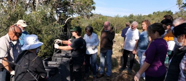 Éxito del curso de Apnal-Ecologistas en Acción sobre elaboración de compost