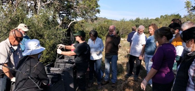 Éxito del curso de Apnal-Ecologistas en Acción sobre elaboración de compost