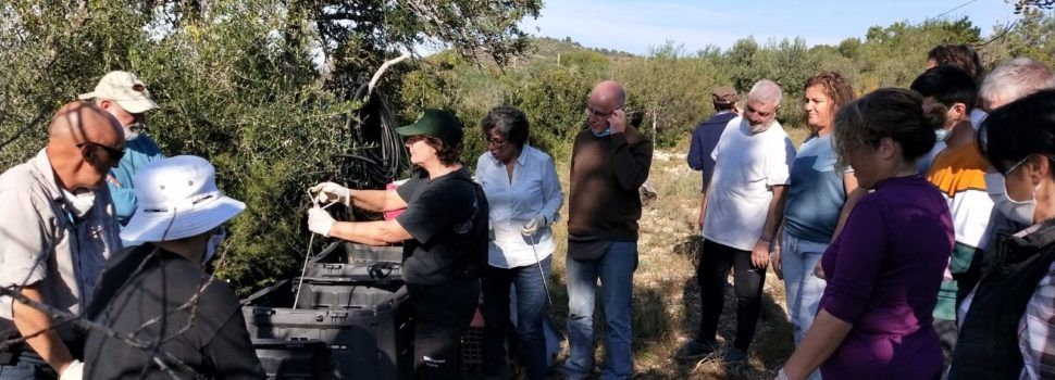 Éxito del curso de Apnal-Ecologistas en Acción sobre elaboración de compost