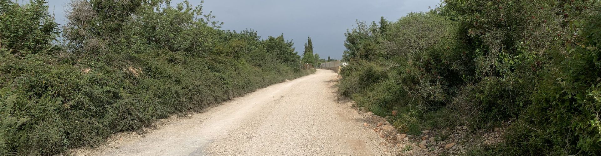 Benicarló trau a licitació el condicionament del tram central del camí de les Foies