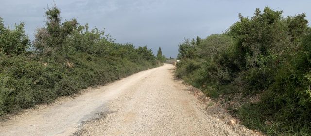 Benicarló trau a licitació el condicionament del tram central del camí de les Foies
