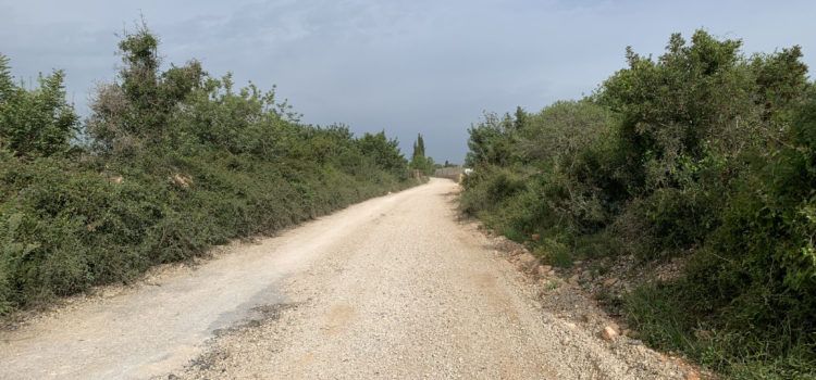 Benicarló trau a licitació el condicionament del tram central del camí de les Foies