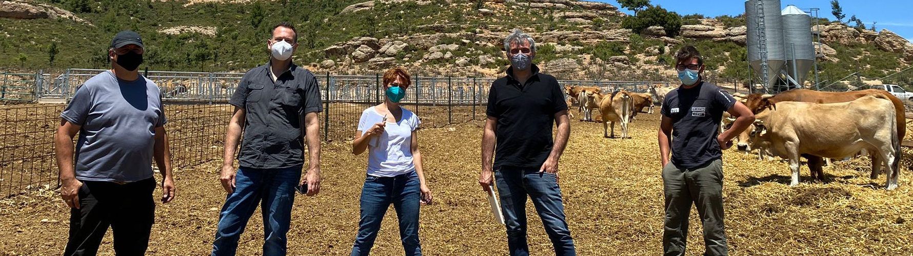 Economía Circular de la Aceituna difunde tres vídeos para explicar las ventajas de aprovechar el alperujo