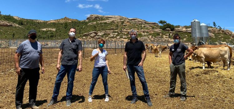 Economía Circular de la Aceituna difunde tres vídeos para explicar las ventajas de aprovechar el alperujo