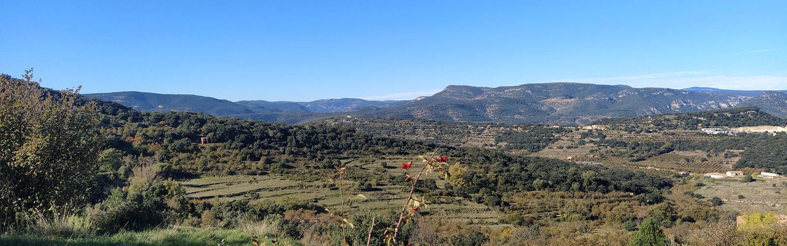 Les rutes de l’Alt Maestrat, disponibles a només un ‘clic’ amb el mòbil en Wikiloc