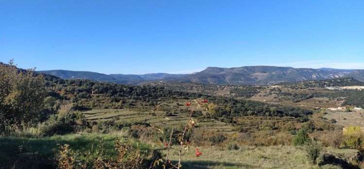 Les rutes de l’Alt Maestrat, disponibles a només un ‘clic’ amb el mòbil en Wikiloc