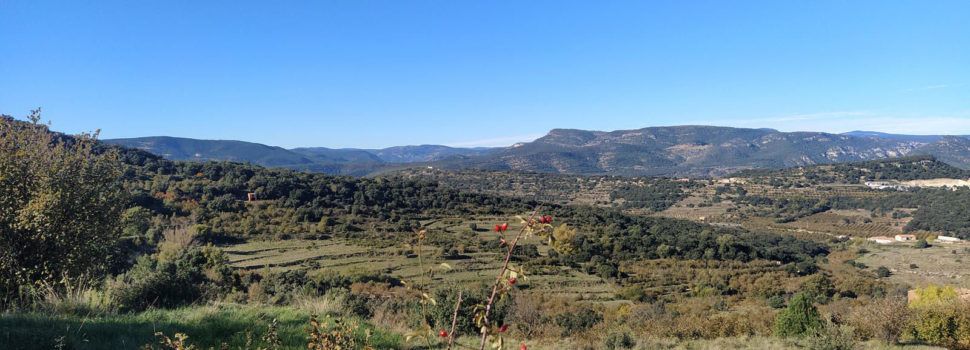 Les rutes de l’Alt Maestrat, disponibles a només un ‘clic’ amb el mòbil en Wikiloc