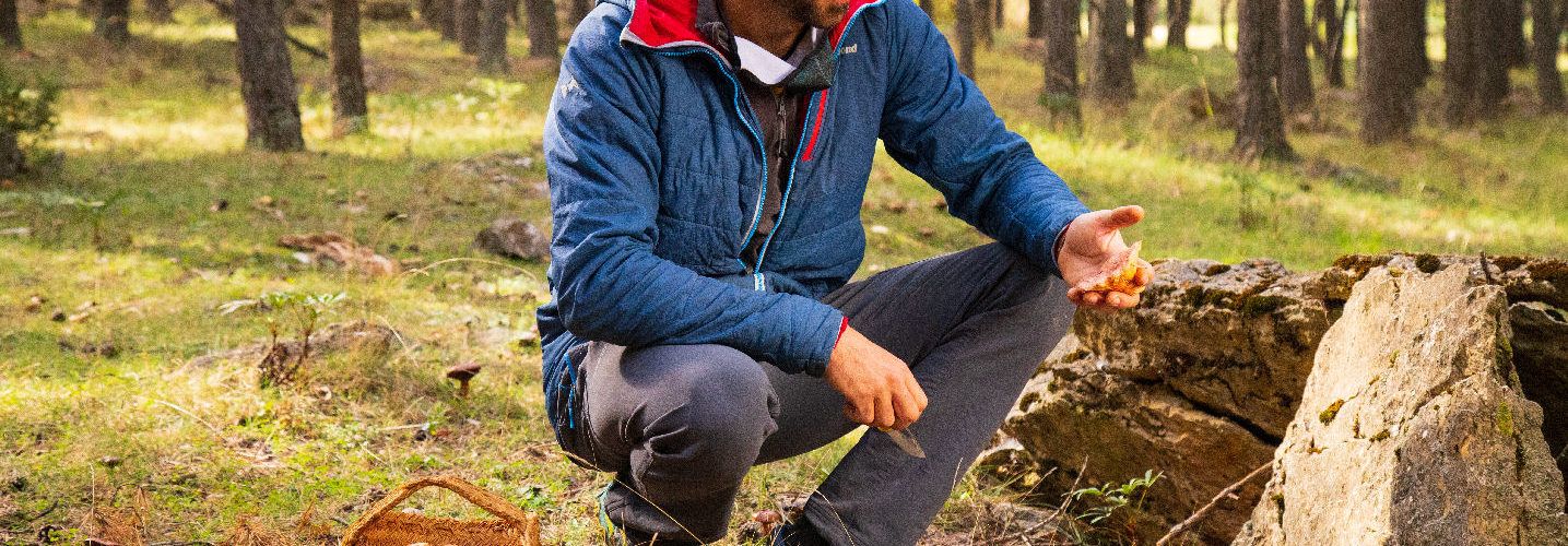 El coto micológico del Maestrazgo acoge a miles de recolectores de setas