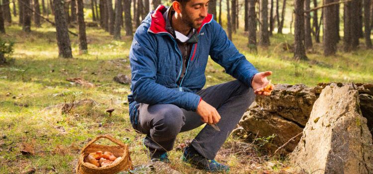 El coto micológico del Maestrazgo acoge a miles de recolectores de setas