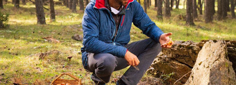 El coto micológico del Maestrazgo acoge a miles de recolectores de setas