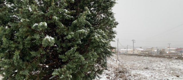 Vídeos i fotos: primera nevada de la temporada