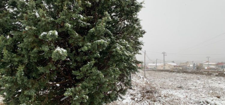 Vídeos i fotos: primera nevada de la temporada