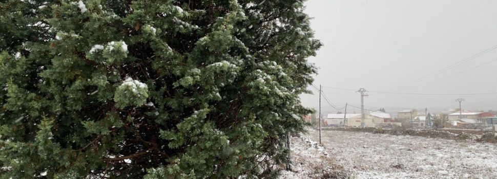 Vídeos i fotos: primera nevada de la temporada