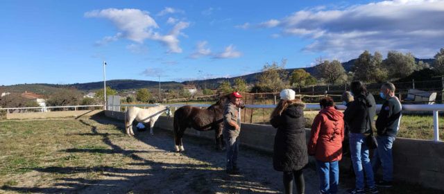 Personas con enfermedad mental crónica del centro especializado de Albocàsser participan en un programa de intervención terapéutica con caballos