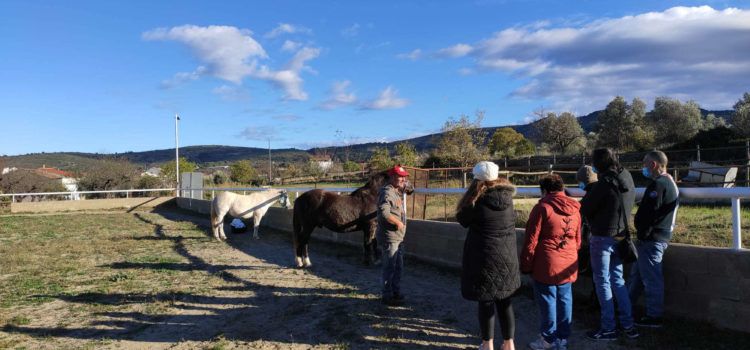 Personas con enfermedad mental crónica del centro especializado de Albocàsser participan en un programa de intervención terapéutica con caballos