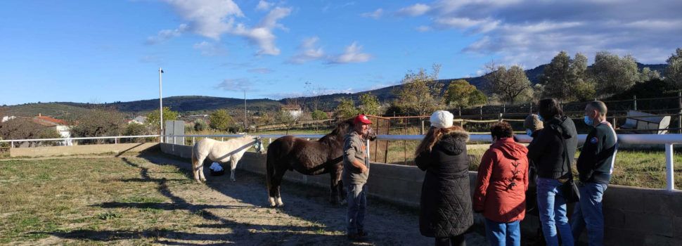 Personas con enfermedad mental crónica del centro especializado de Albocàsser participan en un programa de intervención terapéutica con caballos