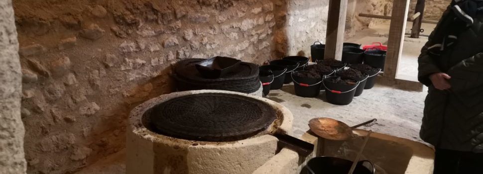 El molí de Cervera tornà a premsar cent anys després de la seua aturada