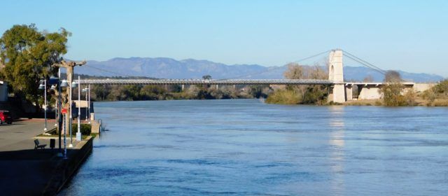 Fotos: Amposta, l’Ebre va pujant de cabal