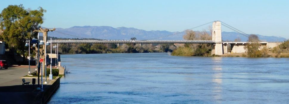 Fotos: Amposta, l’Ebre va pujant de cabal