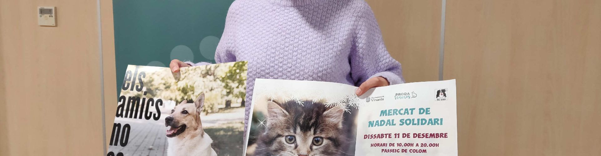 L’Ajuntament de Vinaròs fomenta l’adopció dels animals de companyia