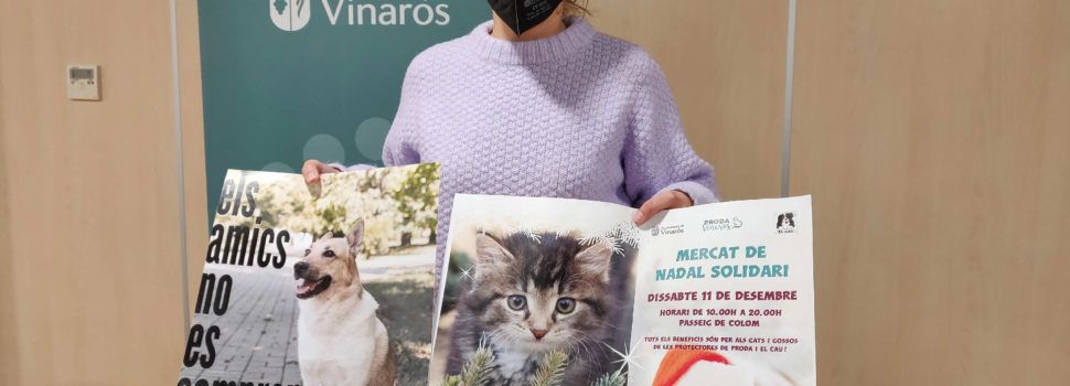 L’Ajuntament de Vinaròs fomenta l’adopció dels animals de companyia