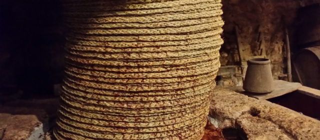 El Molí de l’Oli de Cervera del Maestre celebra les seues primeres jornades el pròxim 11 de desembre de 2021