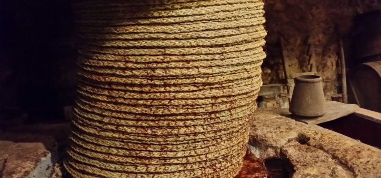 El Molí de l’Oli de Cervera del Maestre celebra les seues primeres jornades el pròxim 11 de desembre de 2021